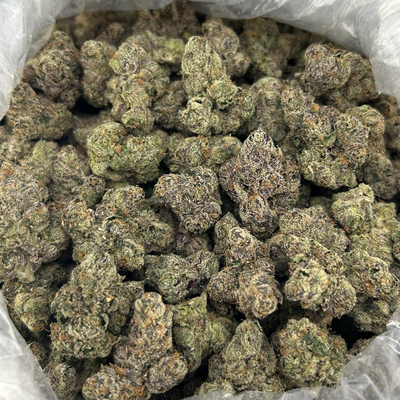 Gypsy Zoap x Bubblegum Zkittles FD#2772