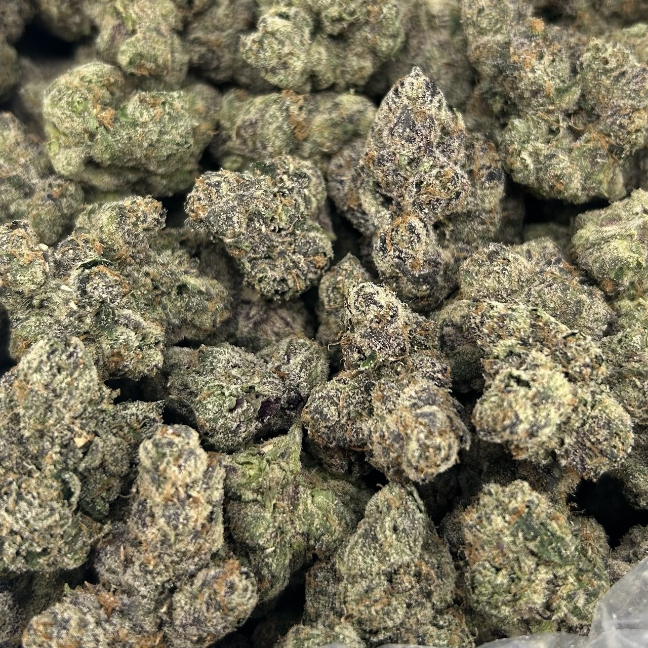 Gypsy Zoap x Bubblegum Zkittles FD#2772