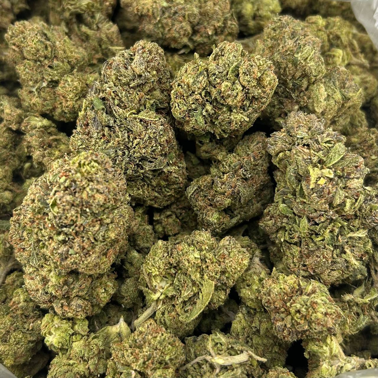 Very Berry FD#2776
