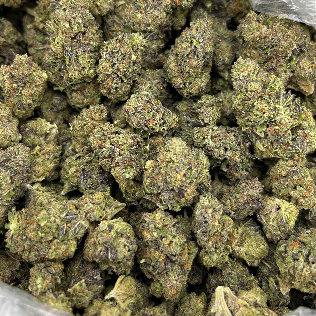 Black Widow Runtz FD#2778