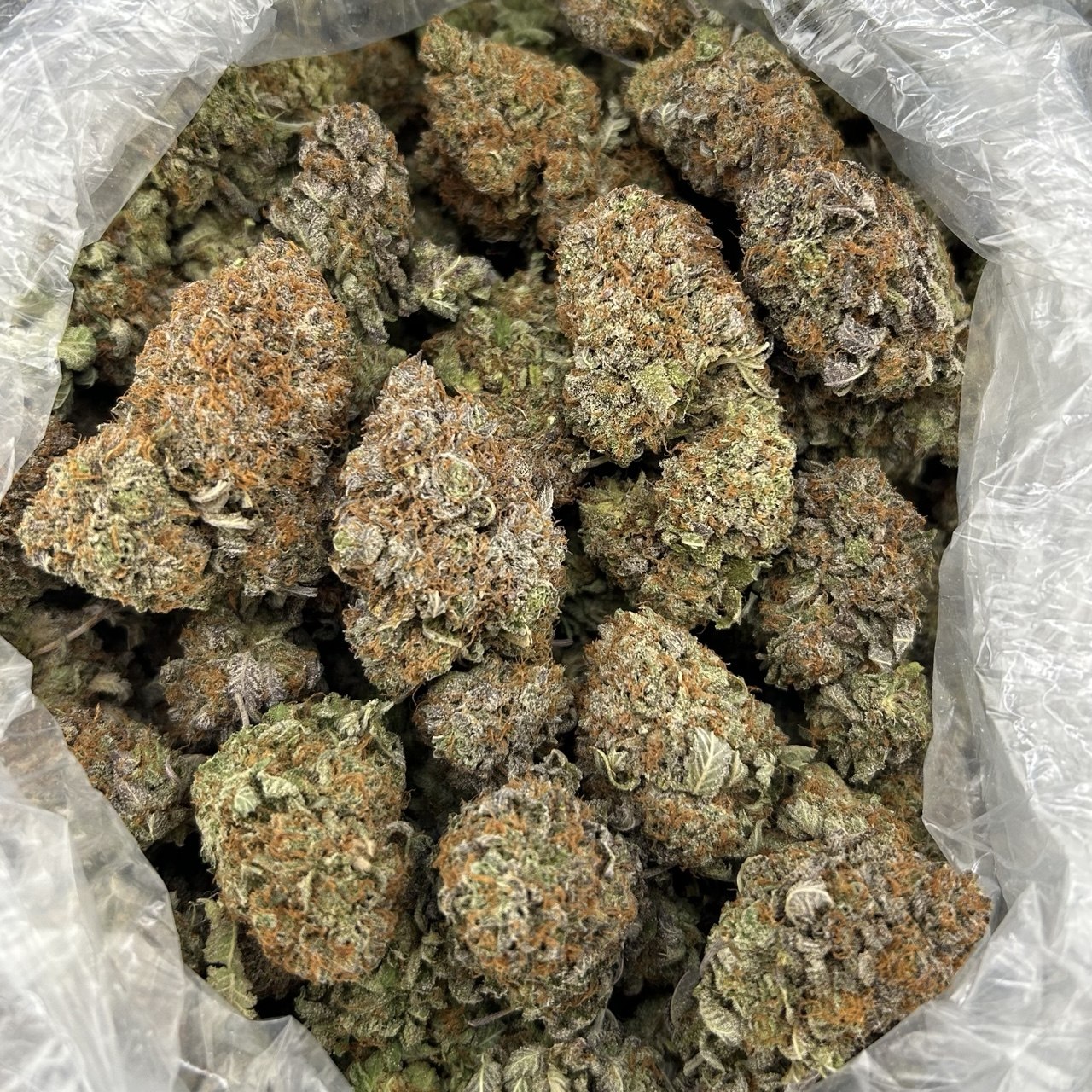 Grand Station Bubs FD#2779