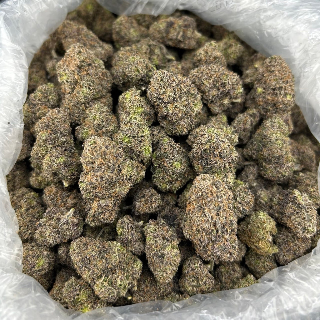 Nightcap Gelato FD#2783