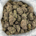 Nightcap Gelato FD#2783