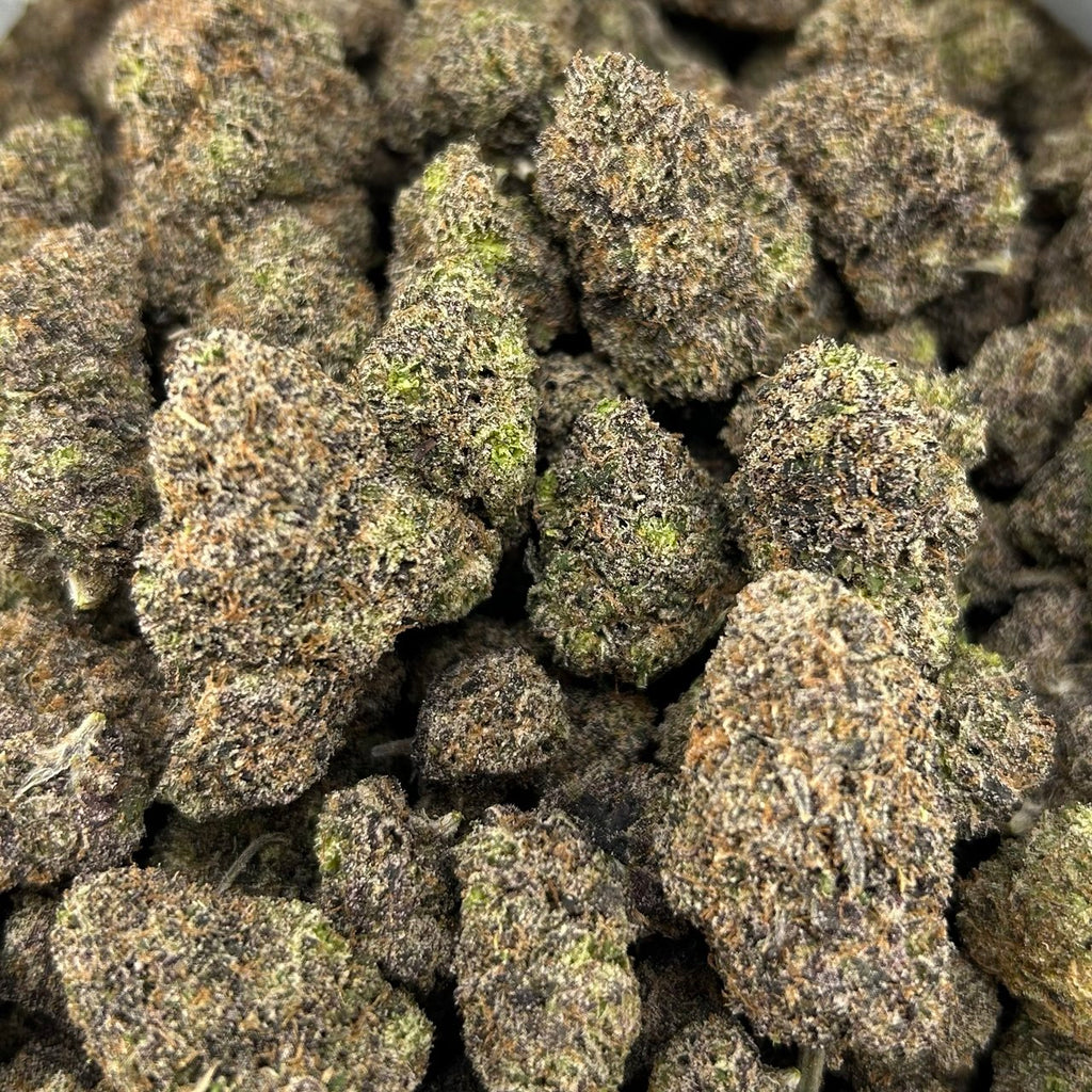 Nightcap Gelato FD#2783
