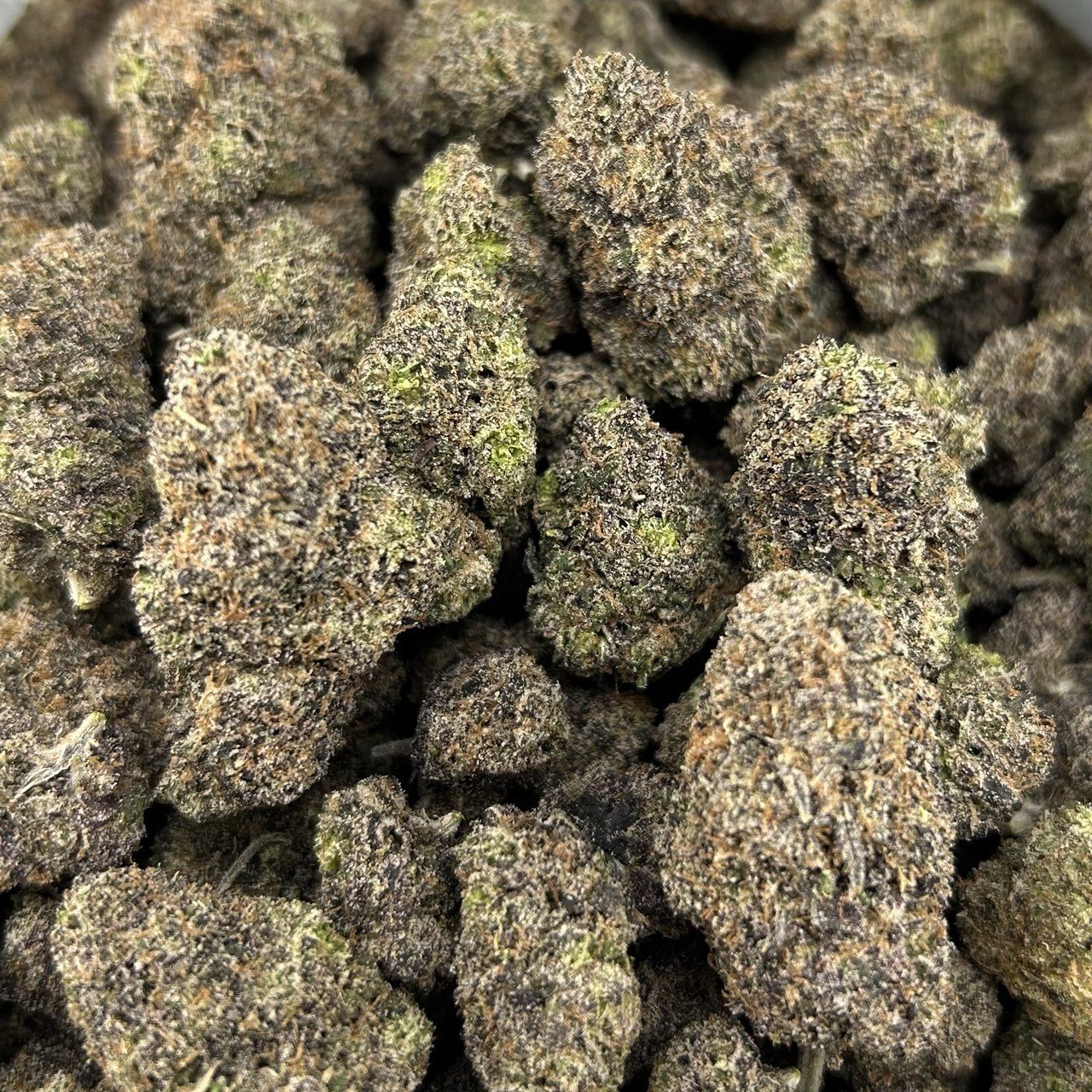 Nightcap Gelato FD#2783