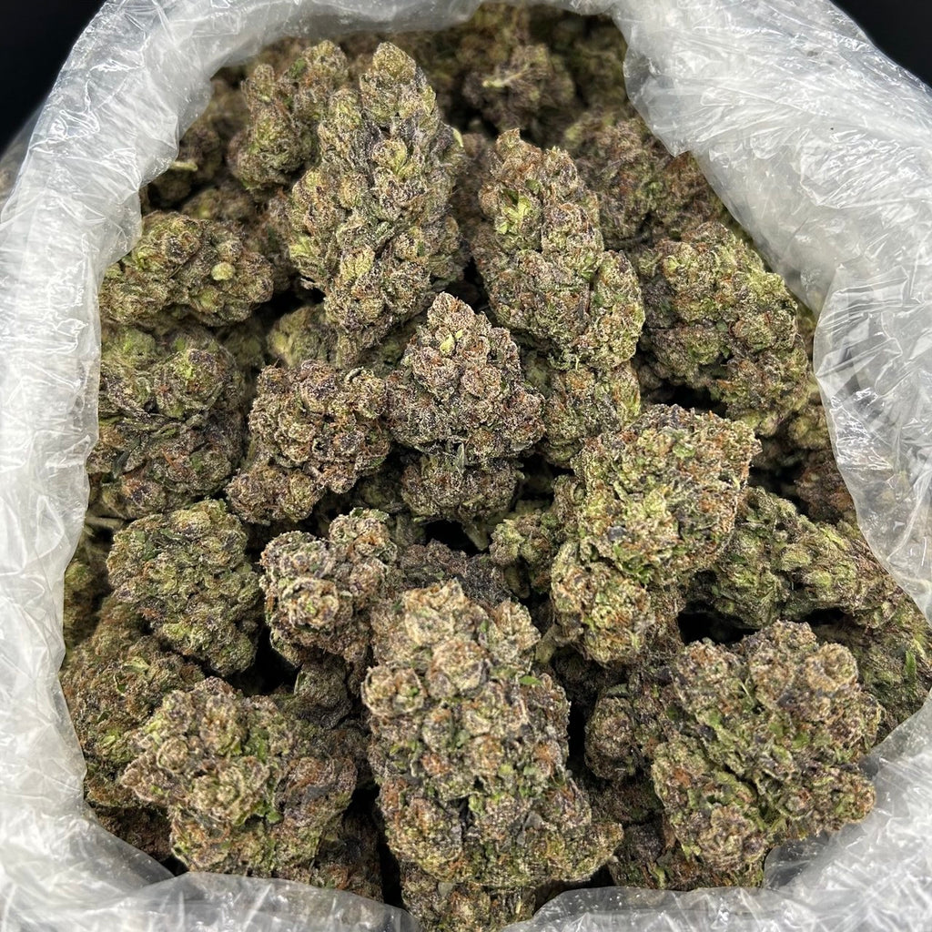 Black Cherry Garcia FD#2787