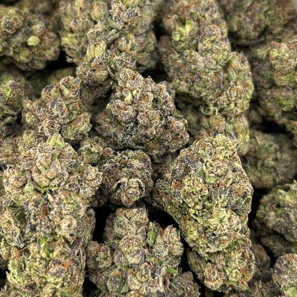 Black Cherry Garcia FD#2787