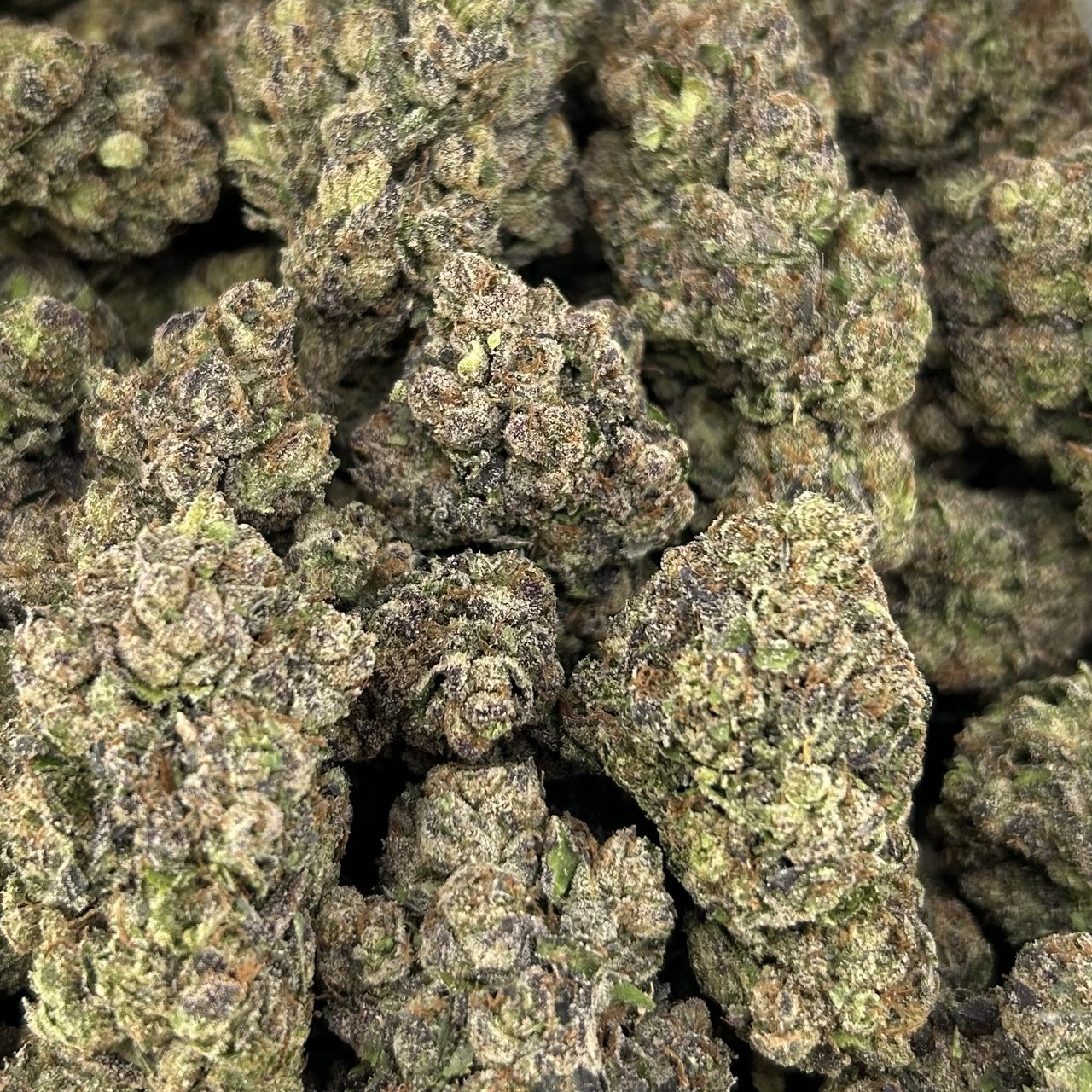 Black Cherry Garcia FD#2787