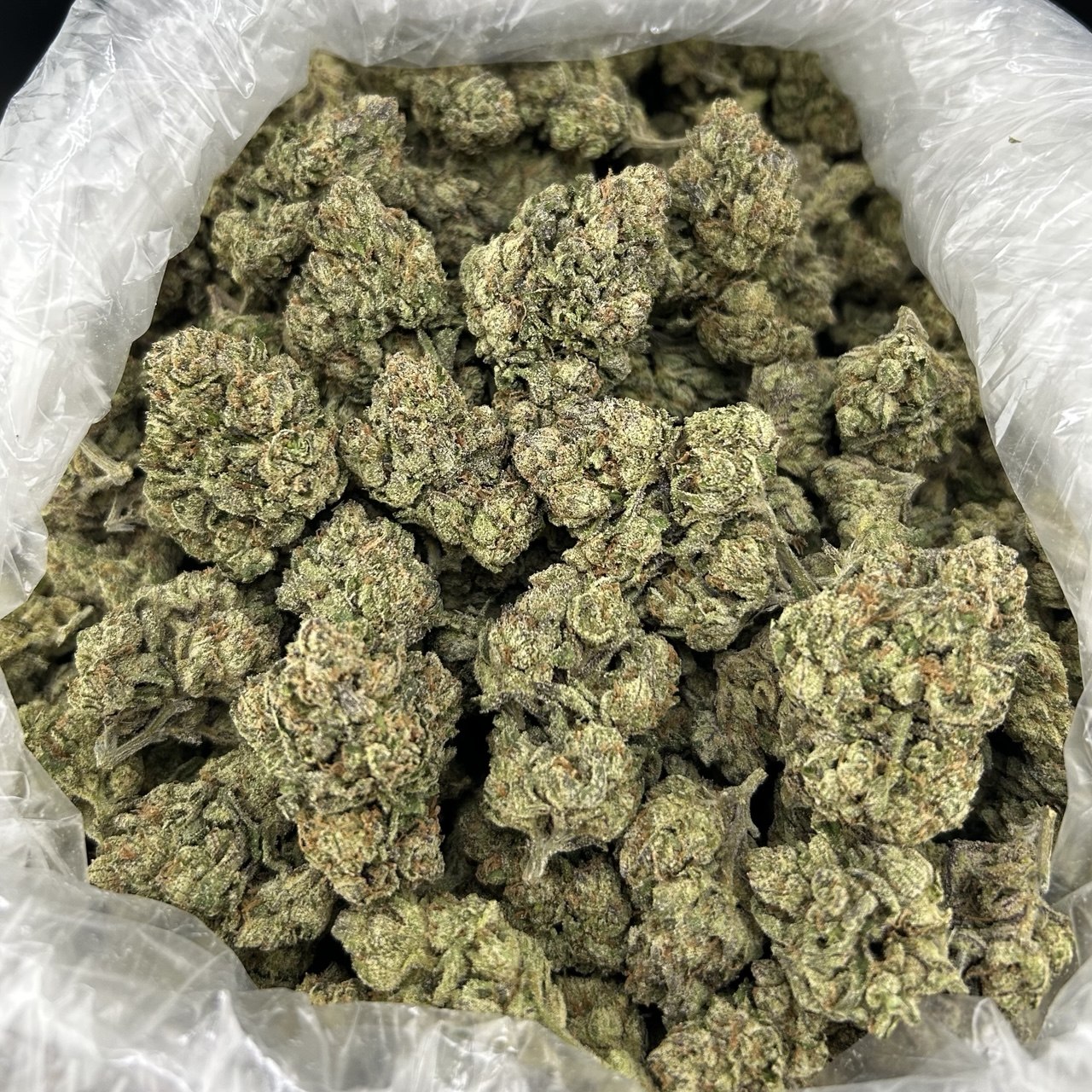 Jolly Rancher Runtz FD#2788