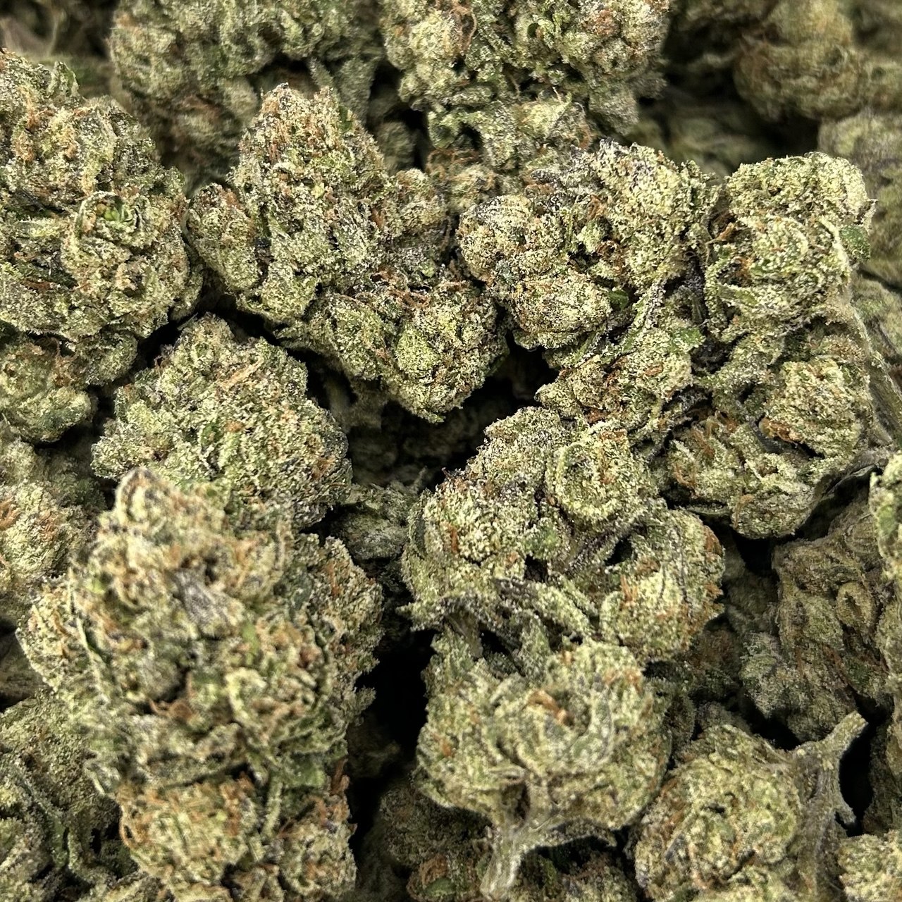 Jolly Rancher Runtz FD#2788