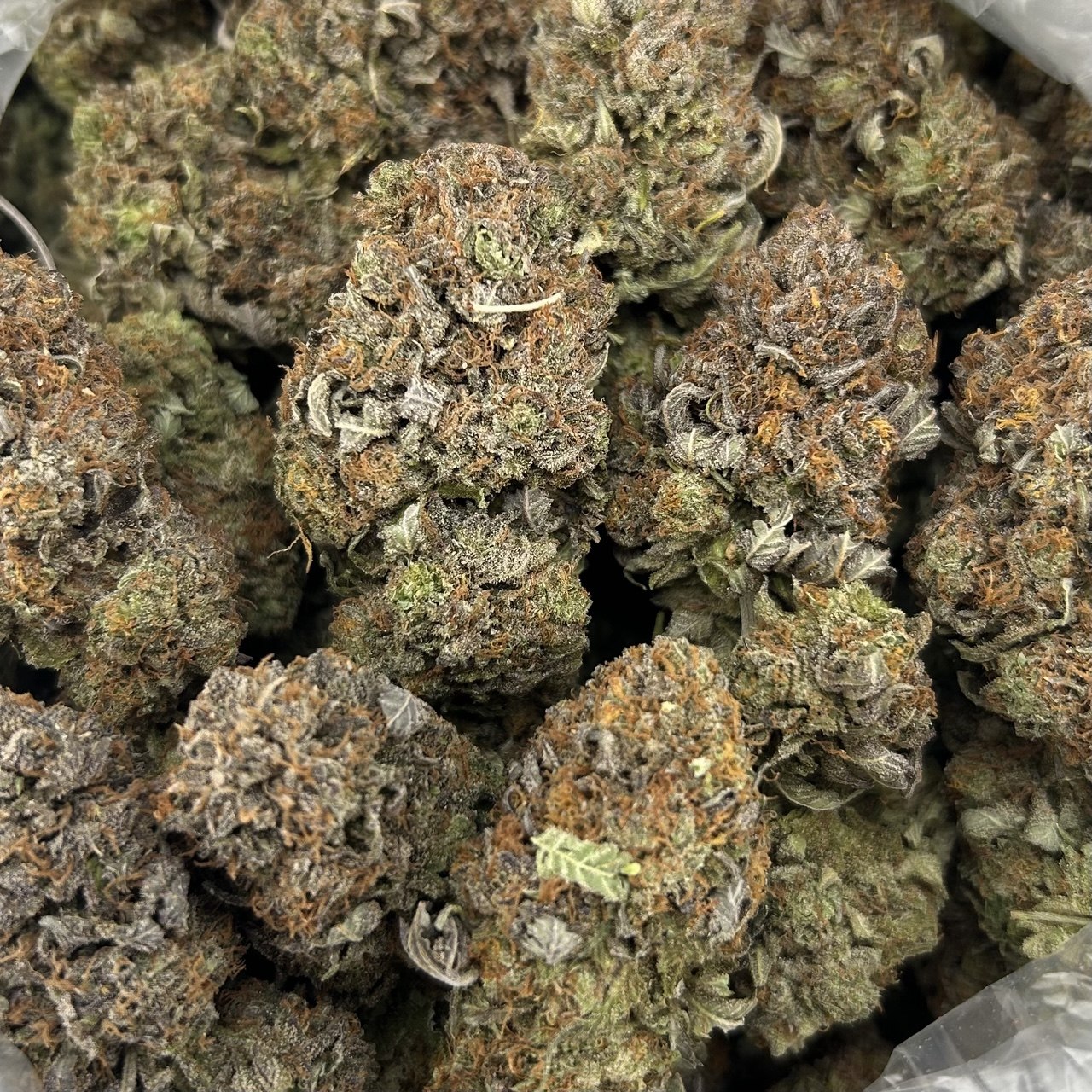 Imperial Platinum FD#2789