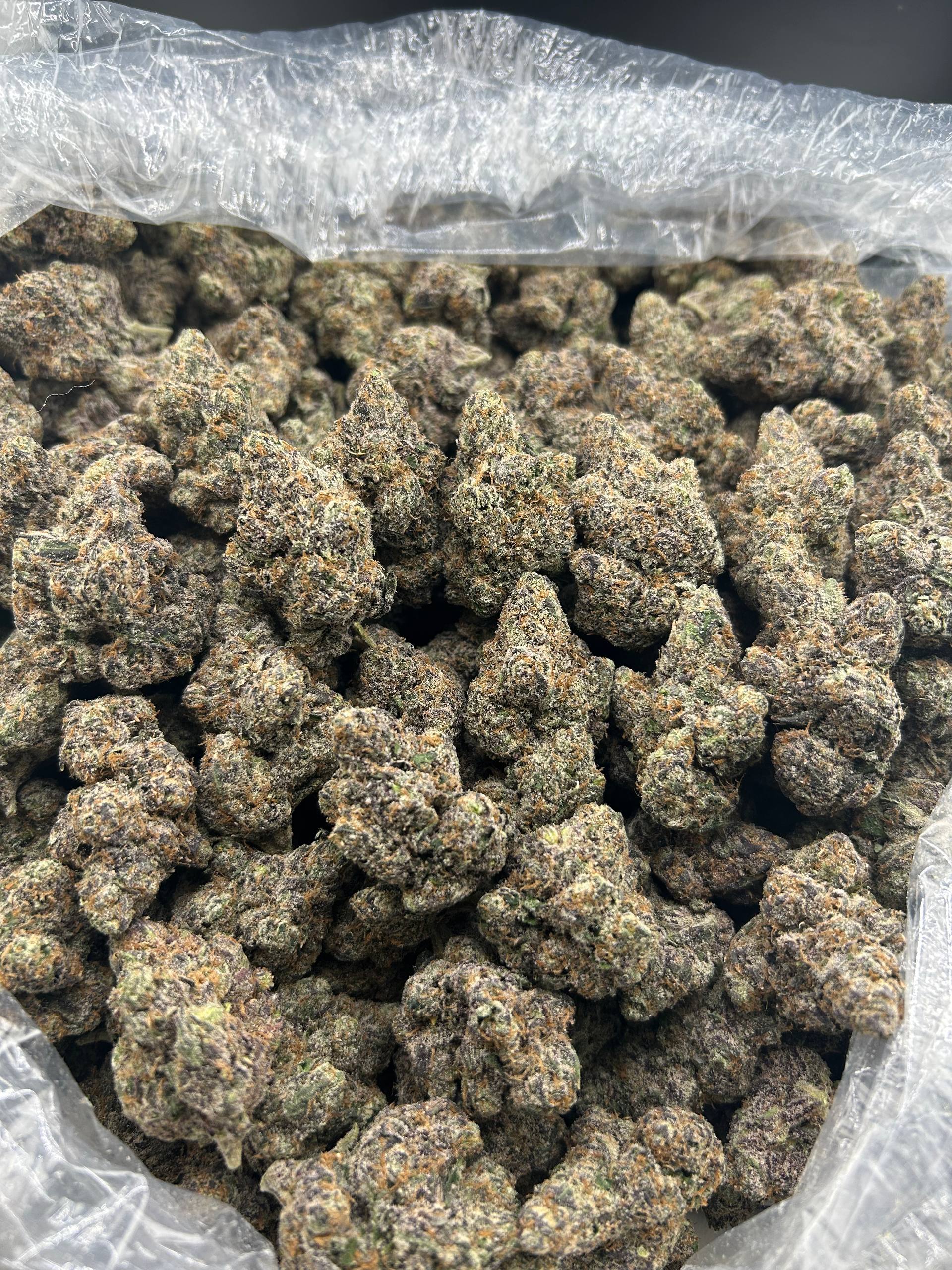 WHITE FIRE GUSHERZ #FD2822