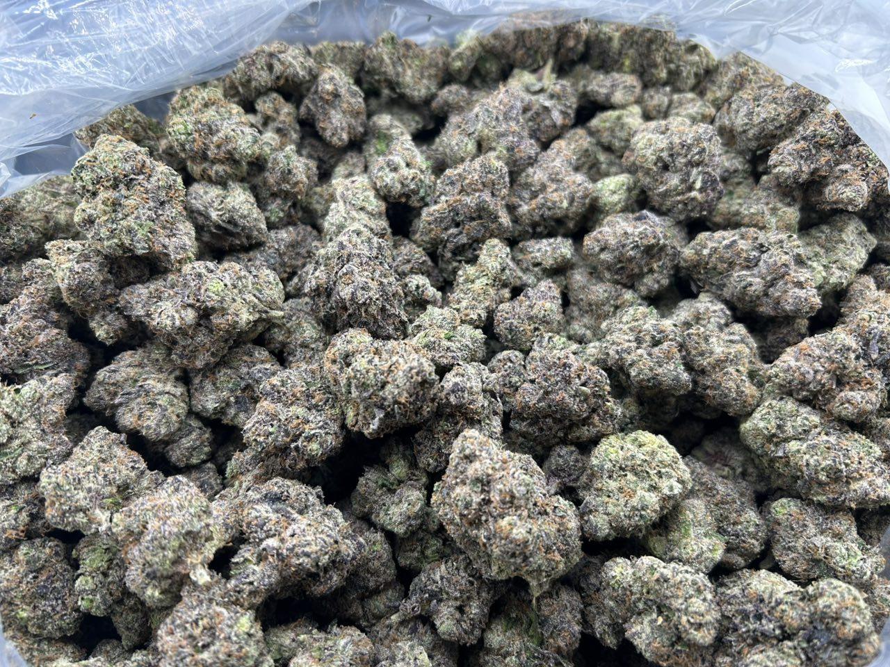 GRAPE GOD RUNTZ #FD2855