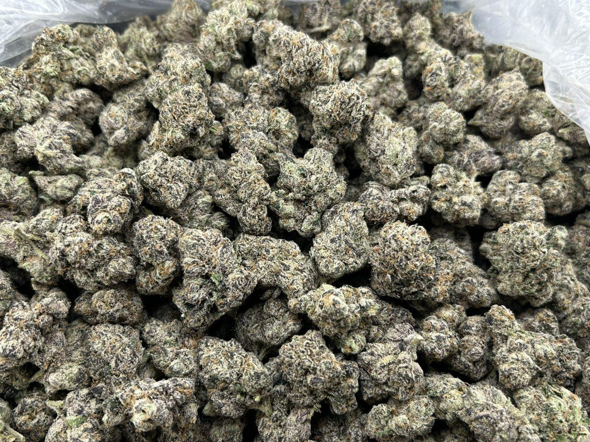 BLUE TOAD CANDY #FD2912
