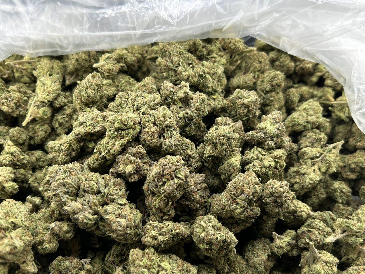 BLUEBERRY ZKITTLES #FD2889