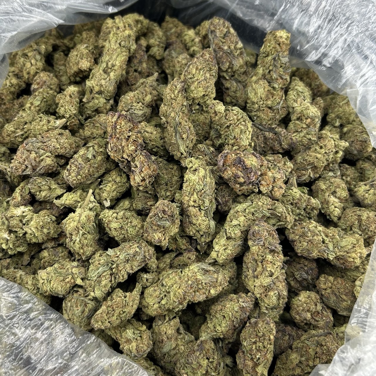 Berner Cookies FD#2624