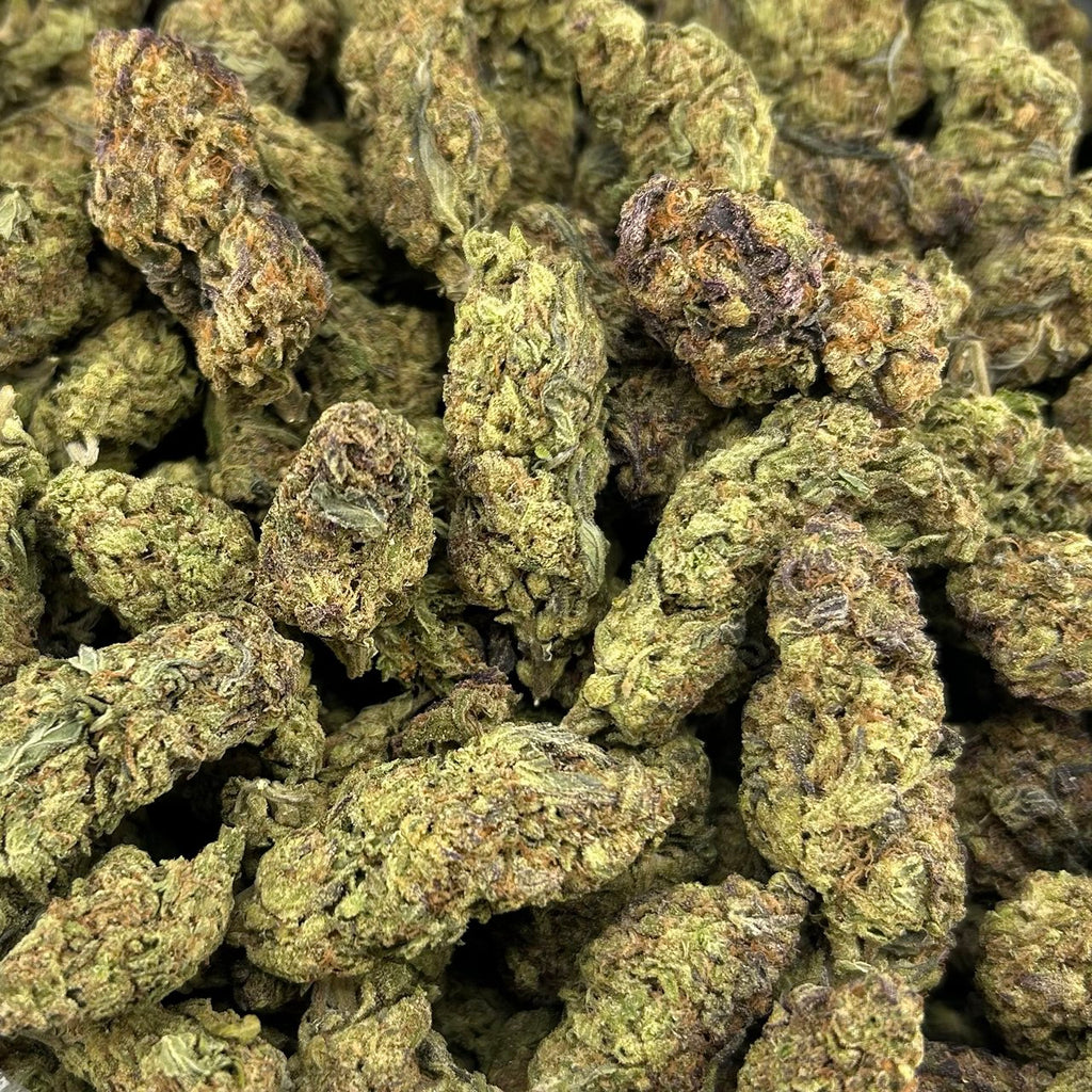 Berner Cookies FD#2624