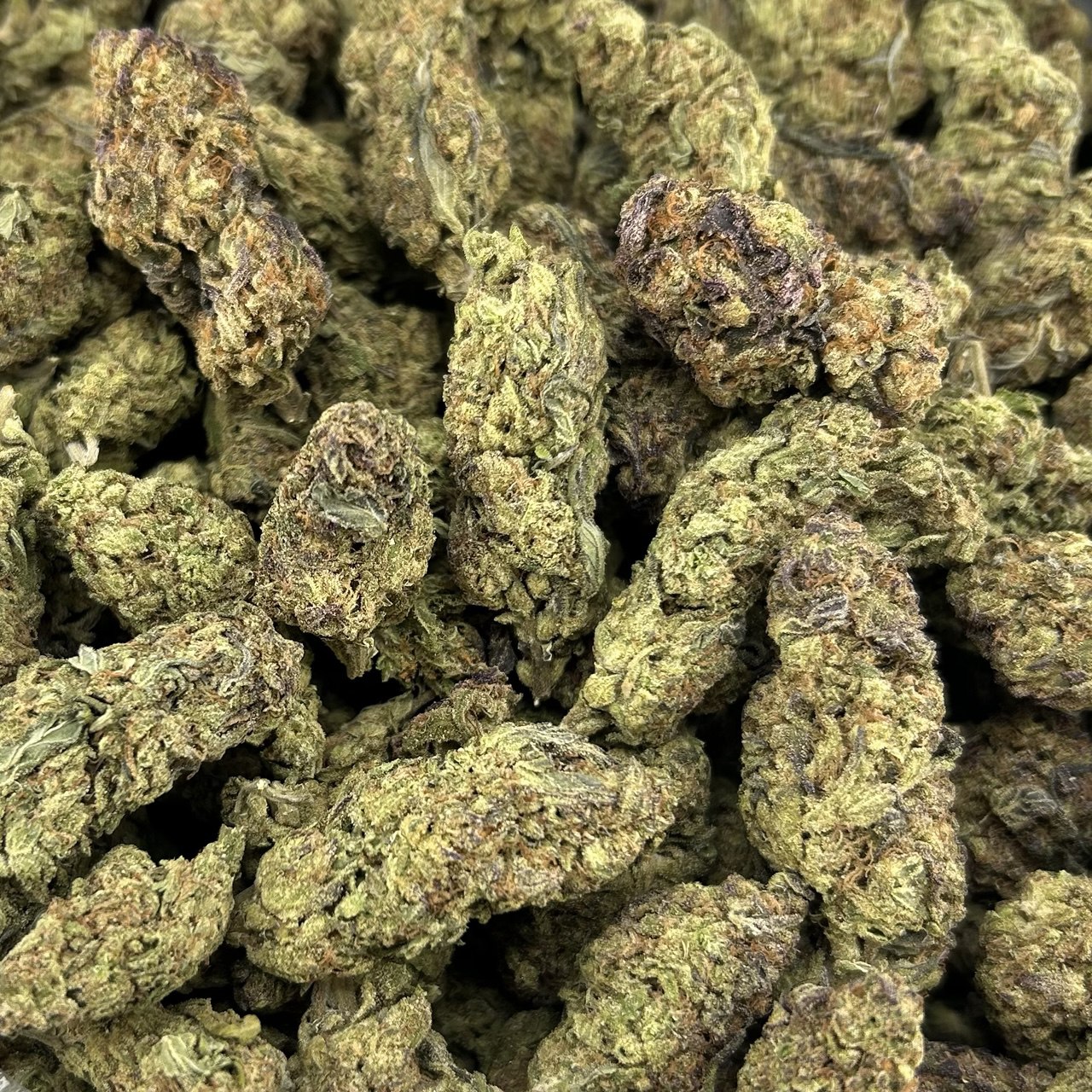 Berner Cookies FD#2624