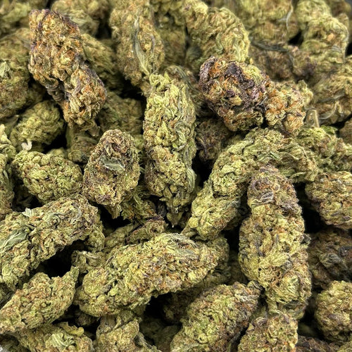Berner Cookies FD#2624