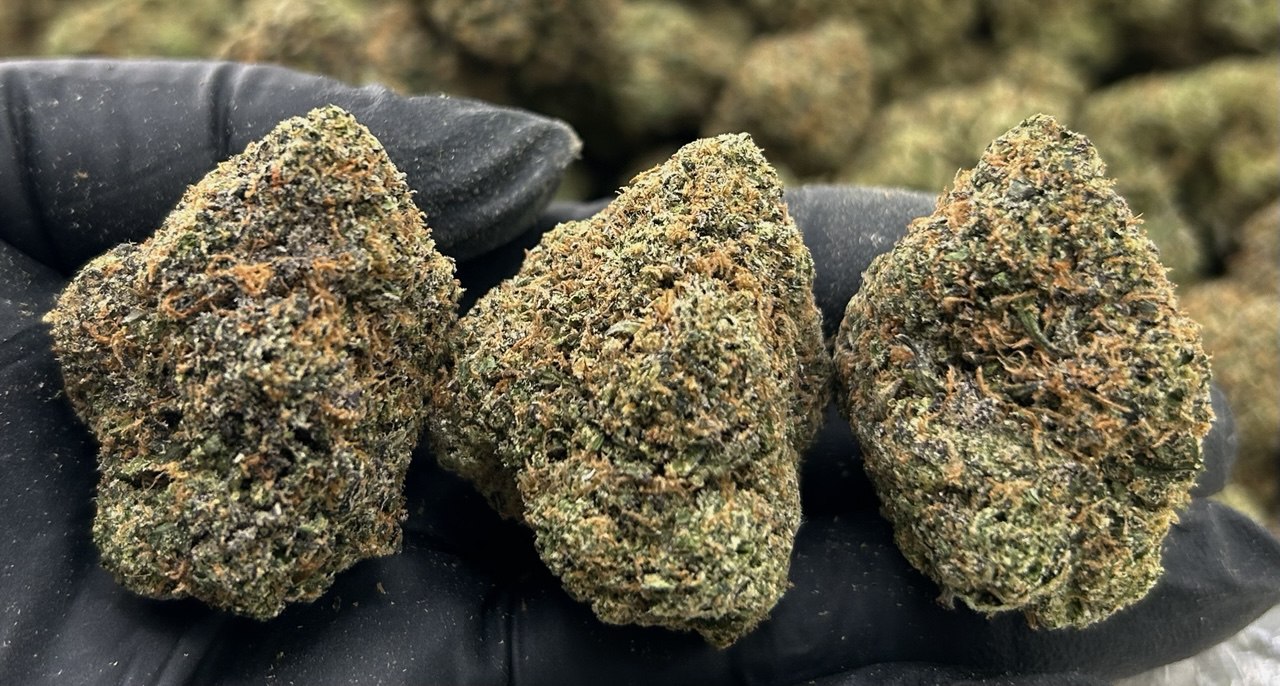 Black Cherry Gelato FD#2467