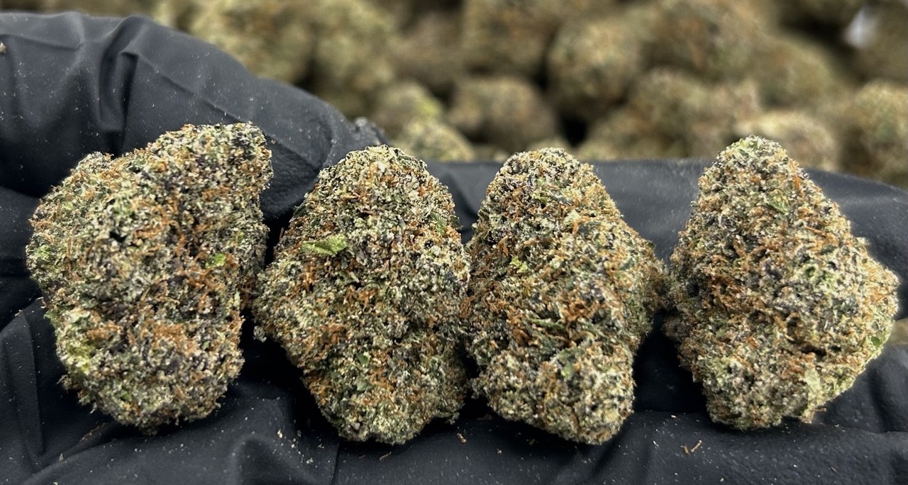 Blueberry Muffin Runtz FD#2468