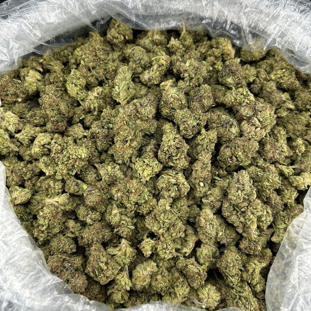 Blueberry Runtz FD#2631