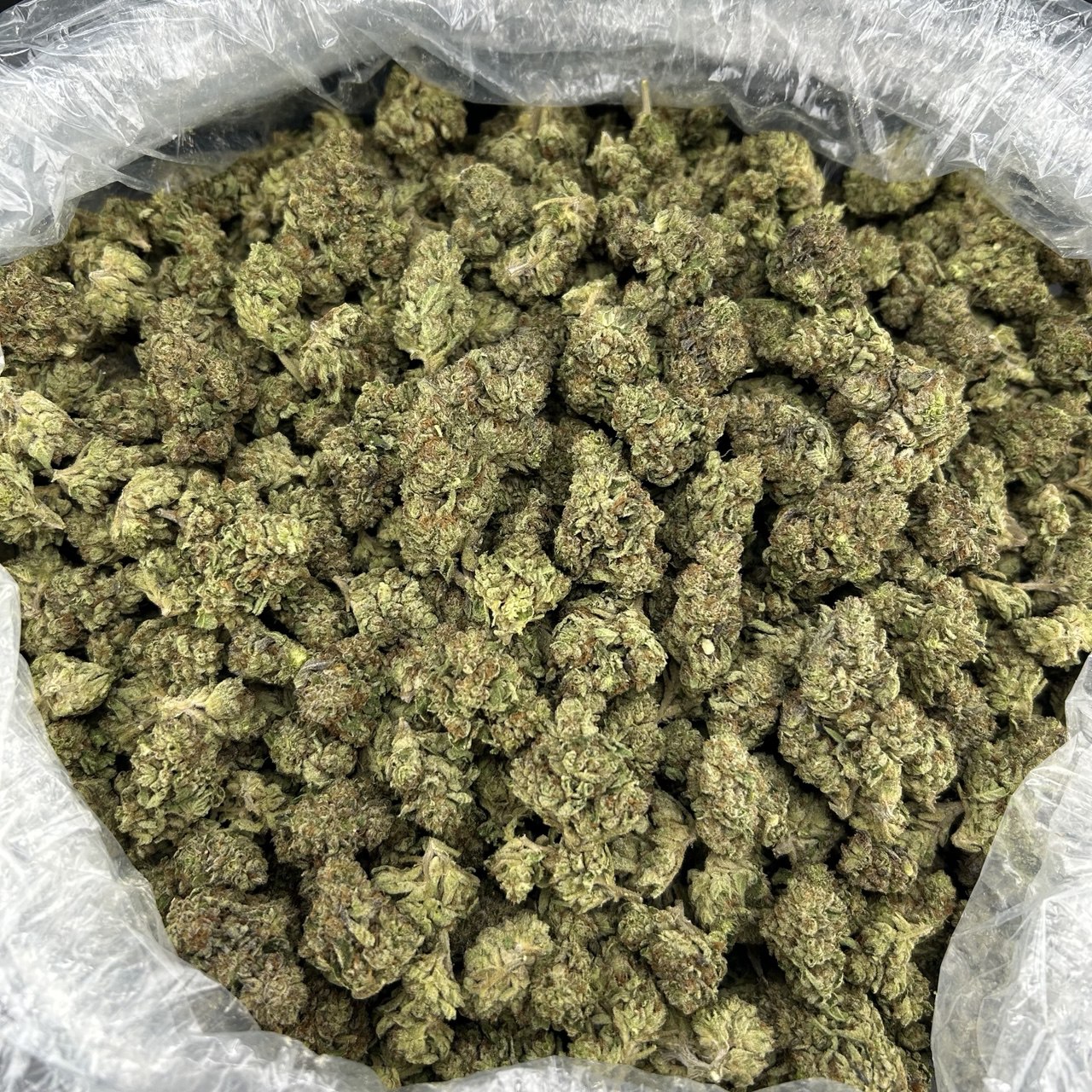 Blueberry Runtz FD#2631