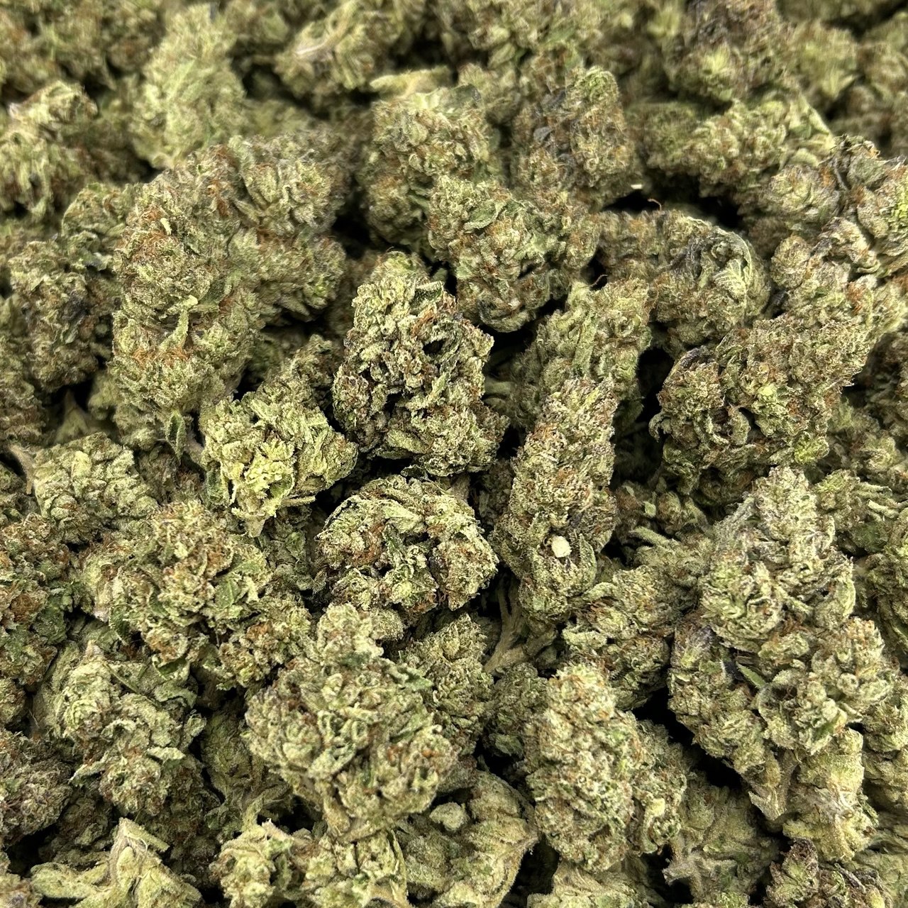 Blueberry Runtz FD#2631