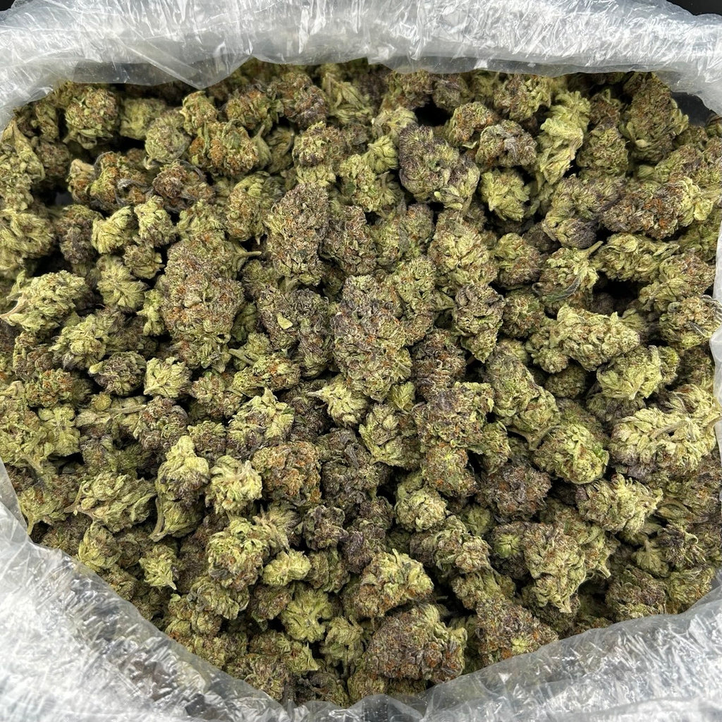 Blue Creamsicle FD#2627