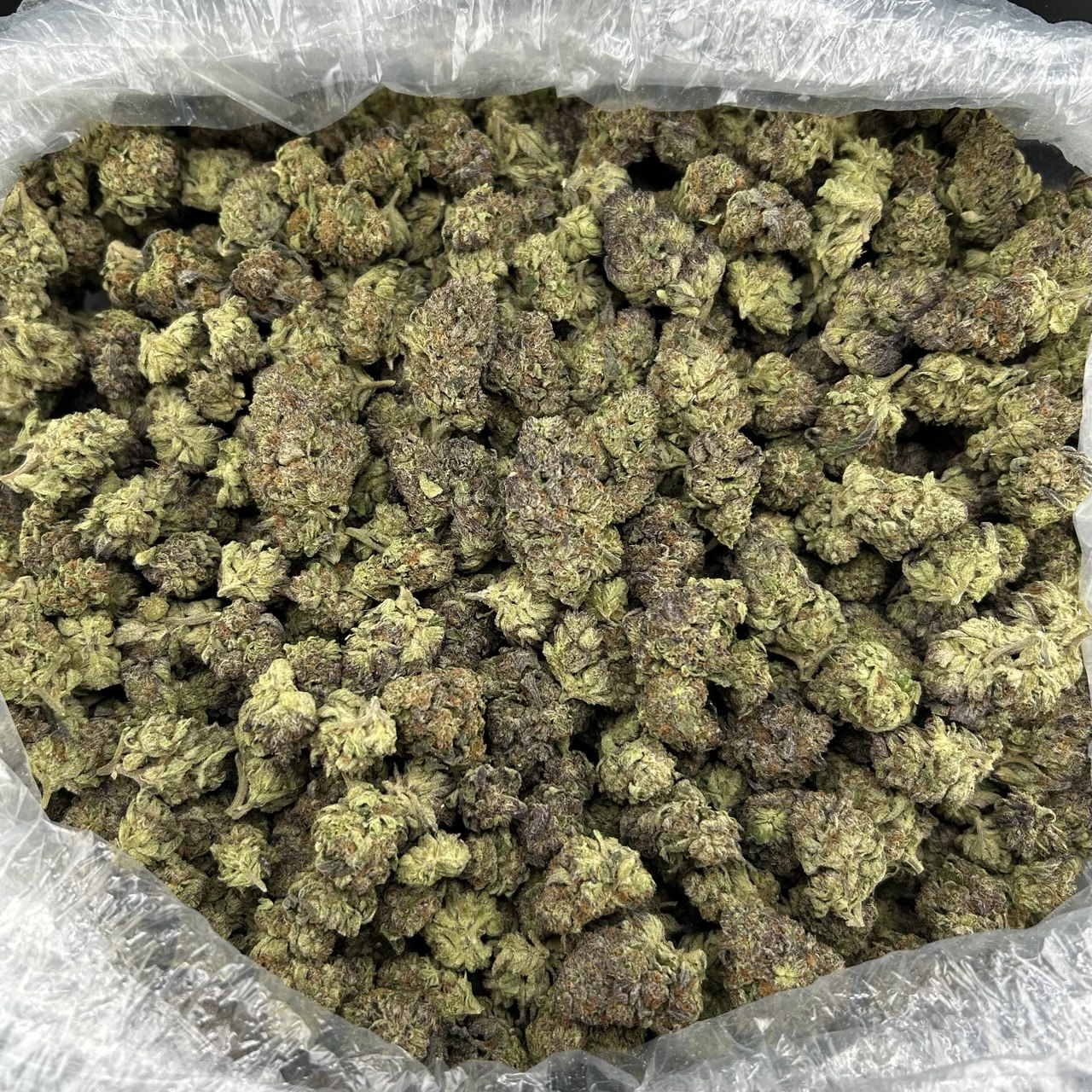 Blue Creamsicle FD#2627