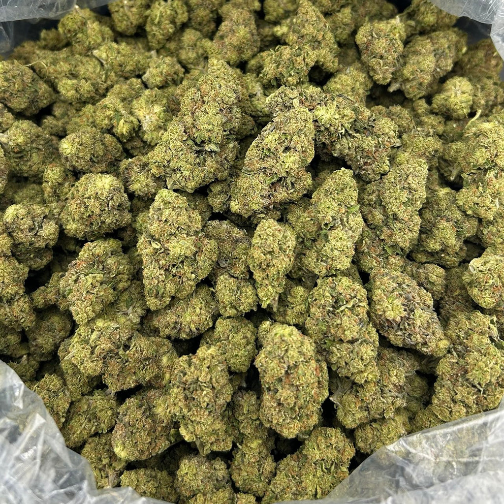 Blue Guava Gelato FD#2505