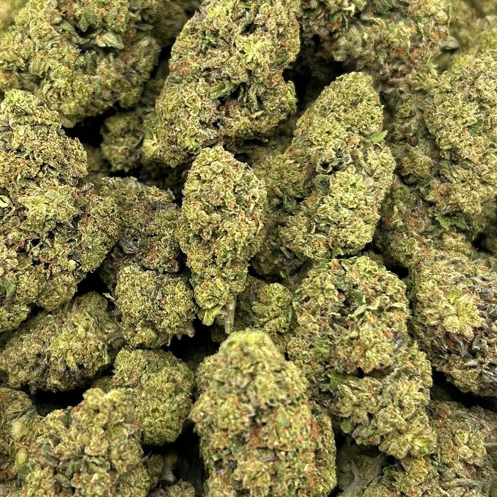 Blue Guava Gelato FD#2505