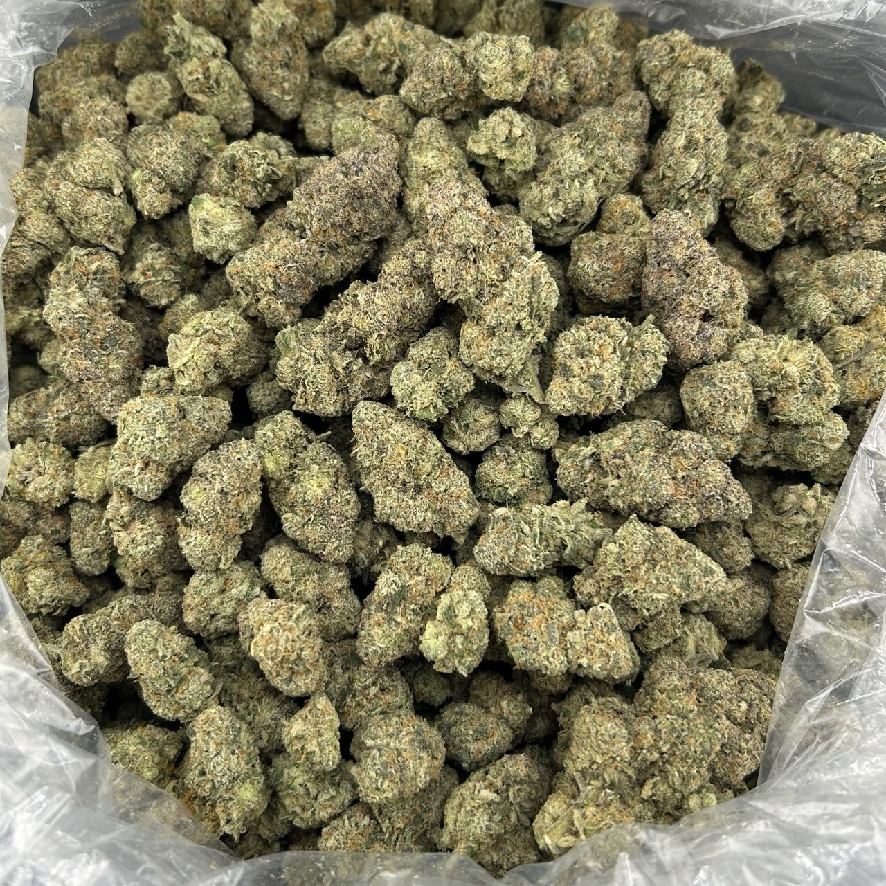 Blue Gummiez FD#2500