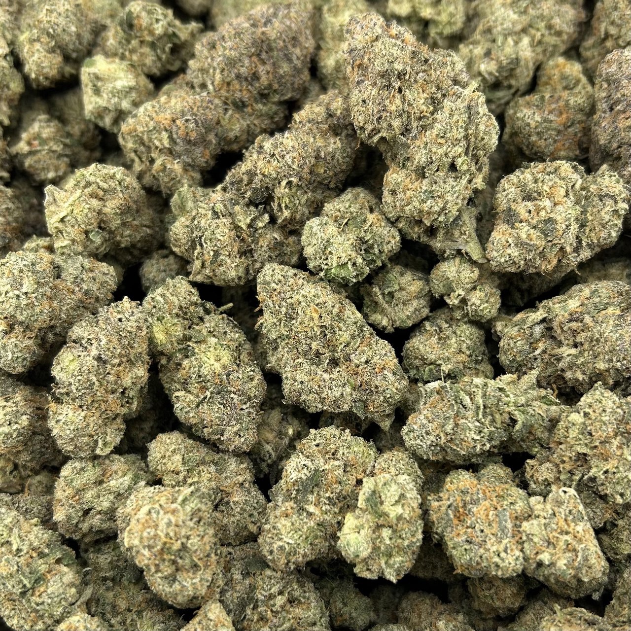 Blue Gummiez FD#2500