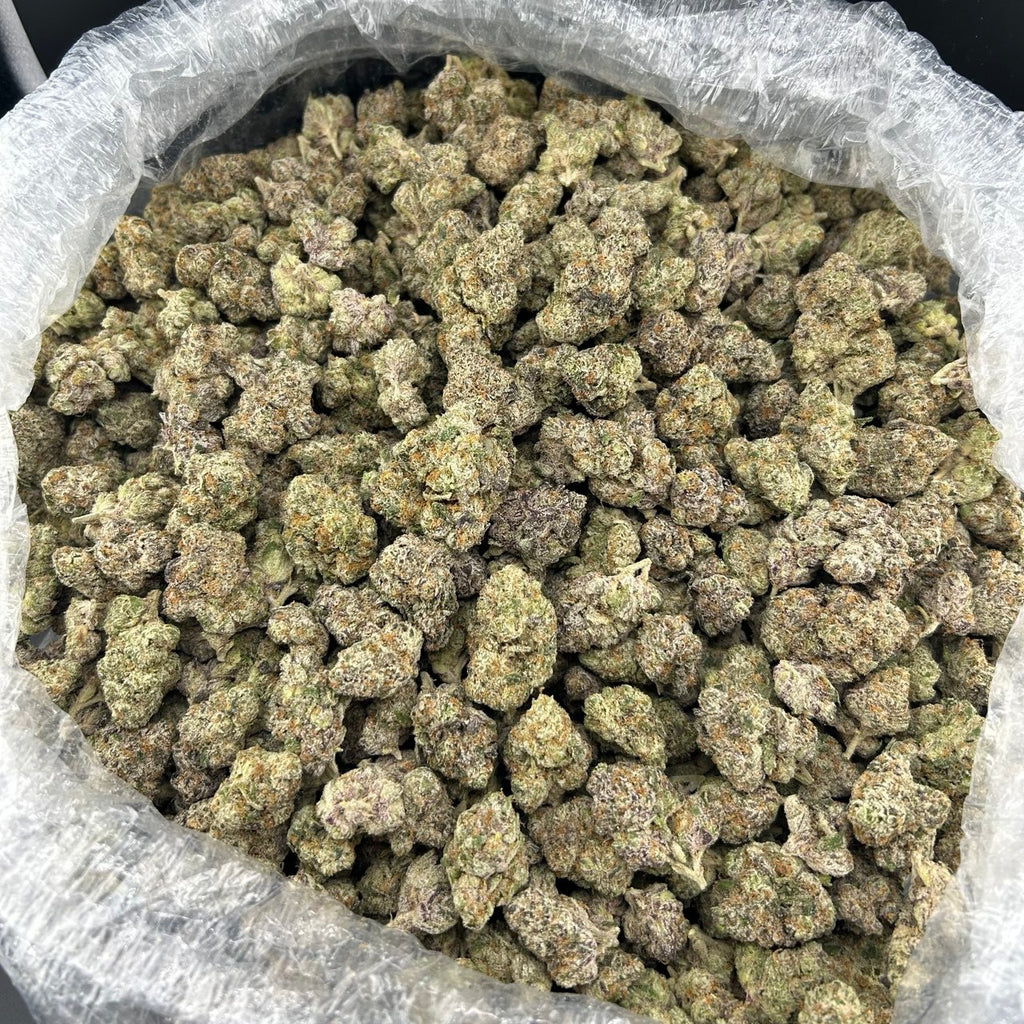 Blue Jello Candy FD#2576