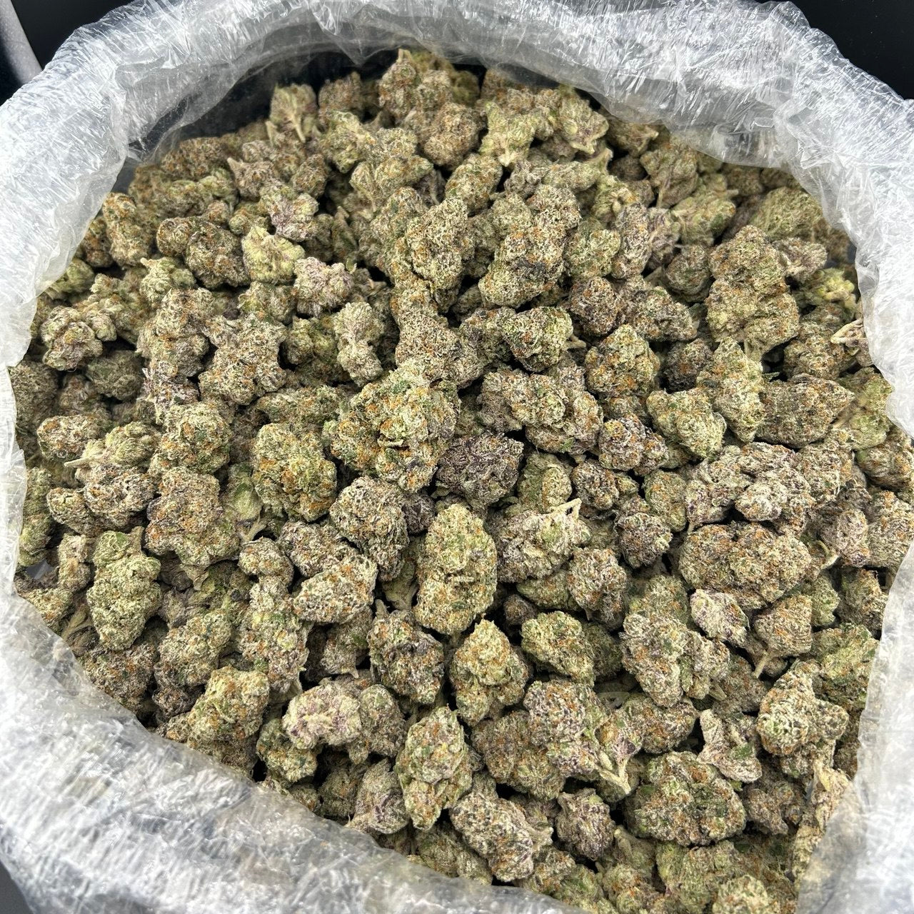 Blue Jello Candy FD#2576