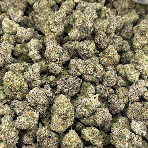 Blue Jello Candy FD#2576