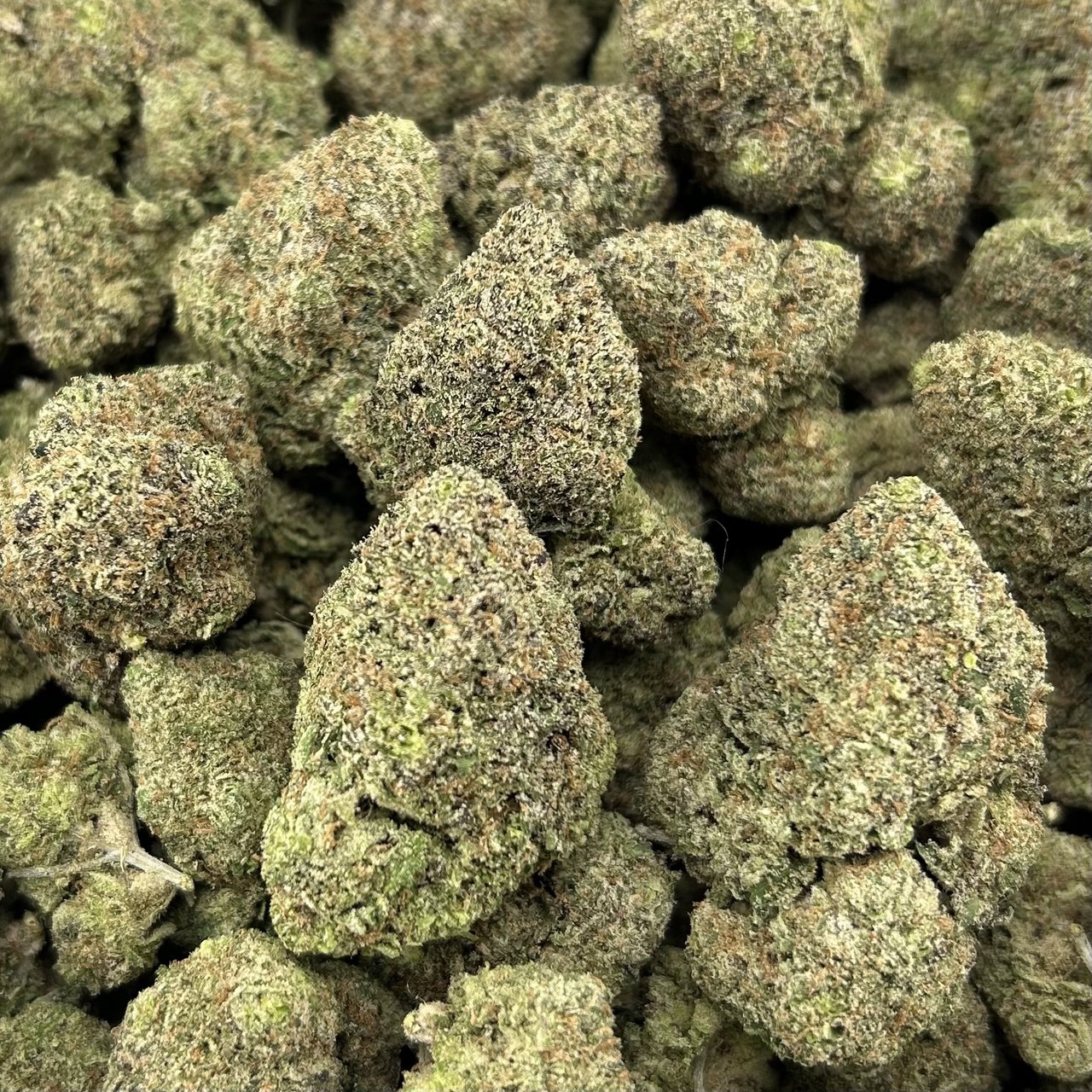 Blue Razz Runtz FD#2511