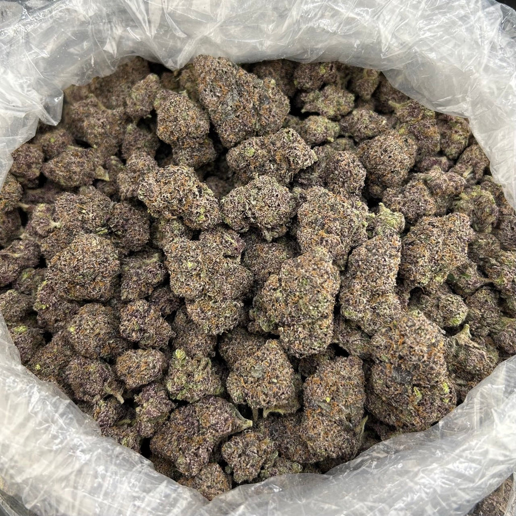 Blue Sunset Nerdz FD#2572