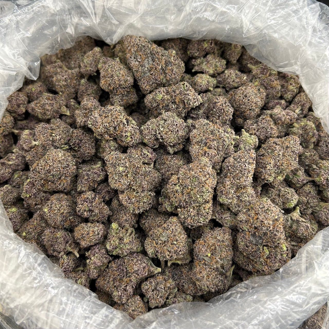 Blue Sunset Nerdz FD#2572