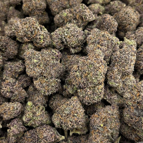 Blue Sunset Nerdz FD#2572