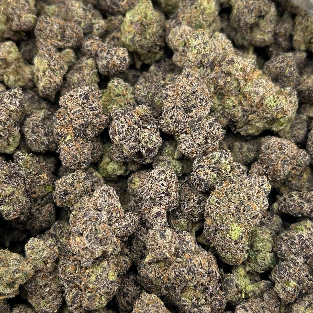 Blue Yummiez FD#2652