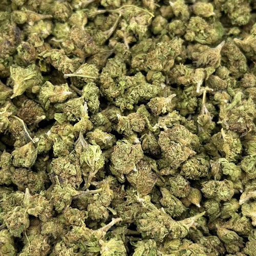 Blue Zkittle Smalls FD#2541