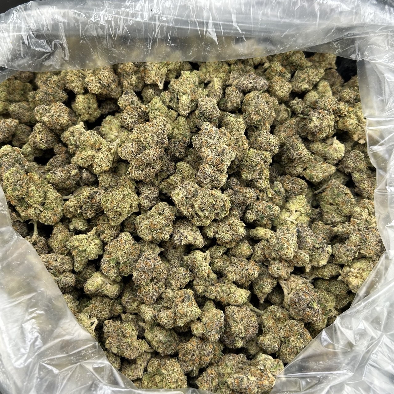 Bubblegum Runtz FD#2560