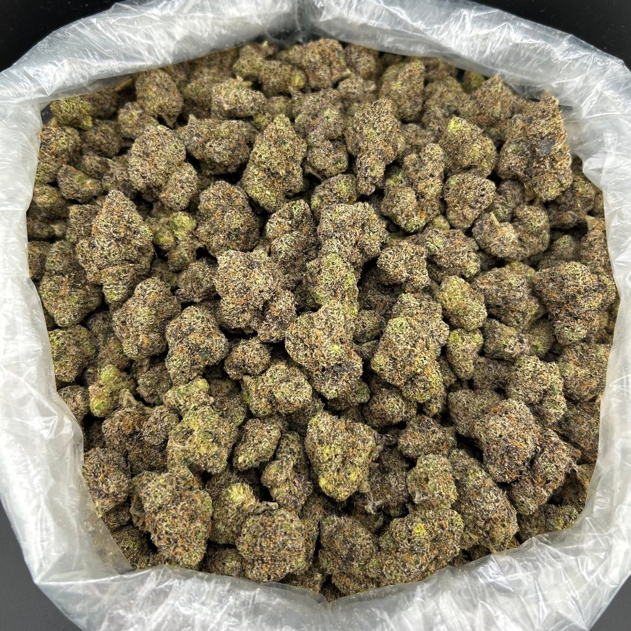 Bubblegum Zaza FD#2440