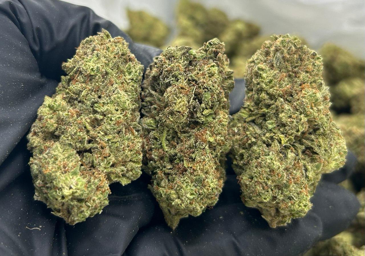 Banana Split FD#2226