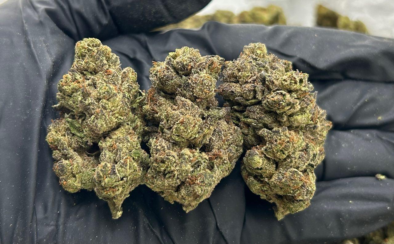 Blue Churros FD#2134