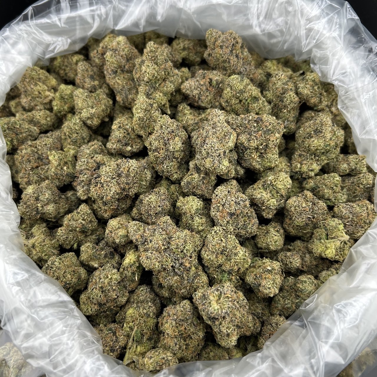 Candy Banger FD#2471