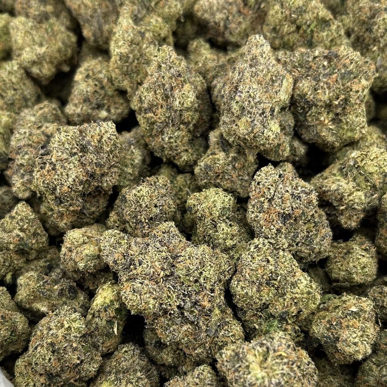 Candy Banger FD#2471