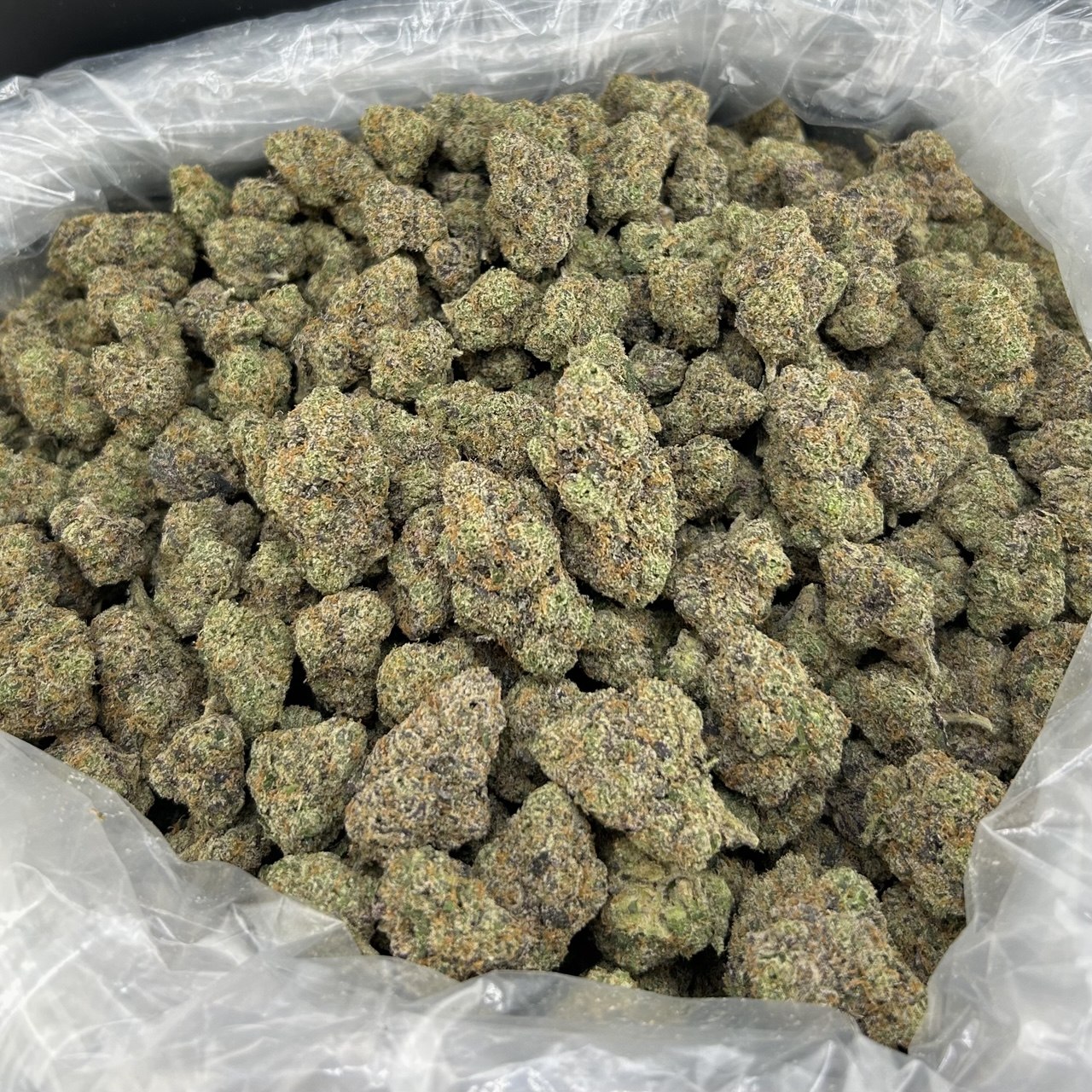 Candy Kamikaze FD#2567